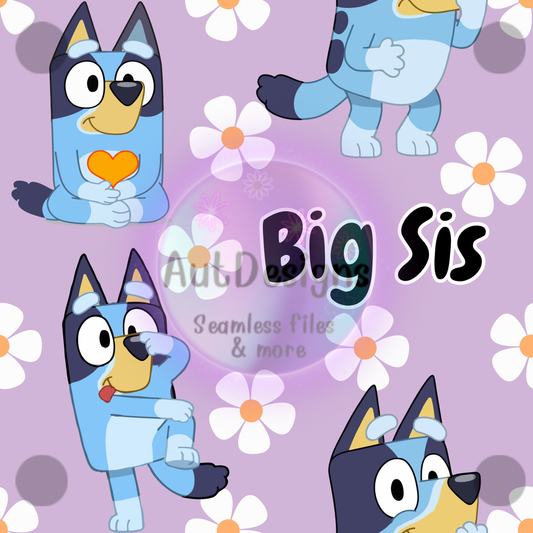 Big Sis Seamless File